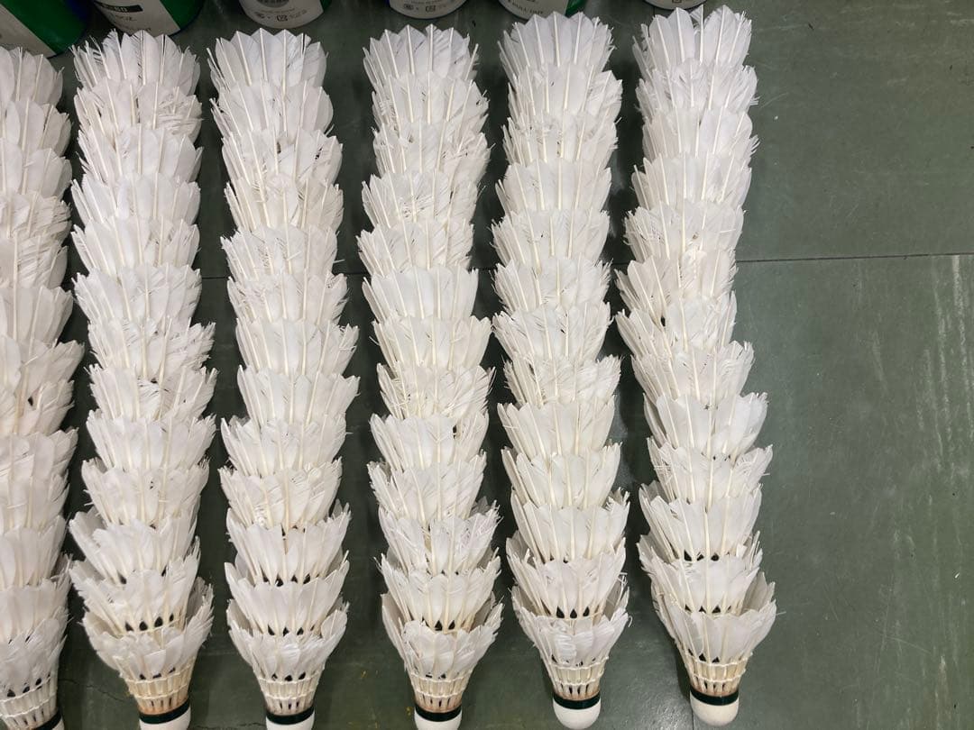 ニューオフィシャル　ノック用セミシャトル　104個