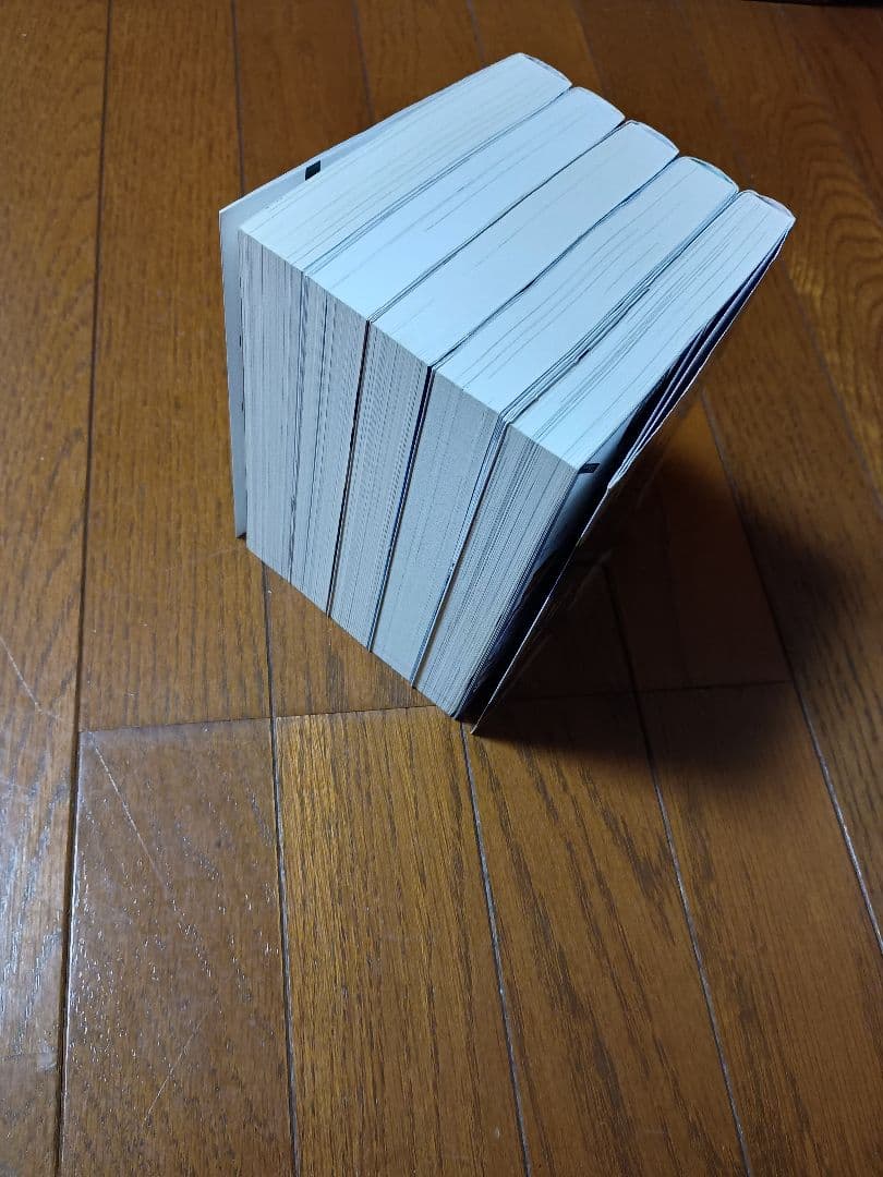 全巻 エヴァンゲリオンＡＮＩＭＡ １ 2 3 4 5 小説