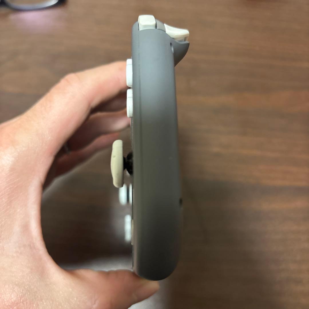 Nintendo Switch Lite グレー　箱・ハードケース付