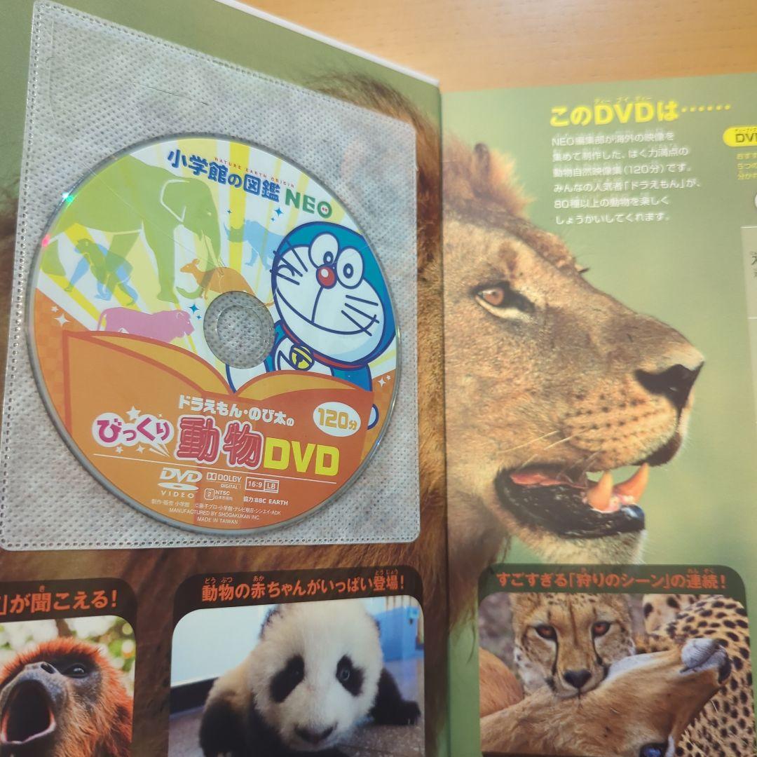 小学館の図鑑NEO 8巻 DVD付き＋講談社MOVE図鑑＋こども大百科