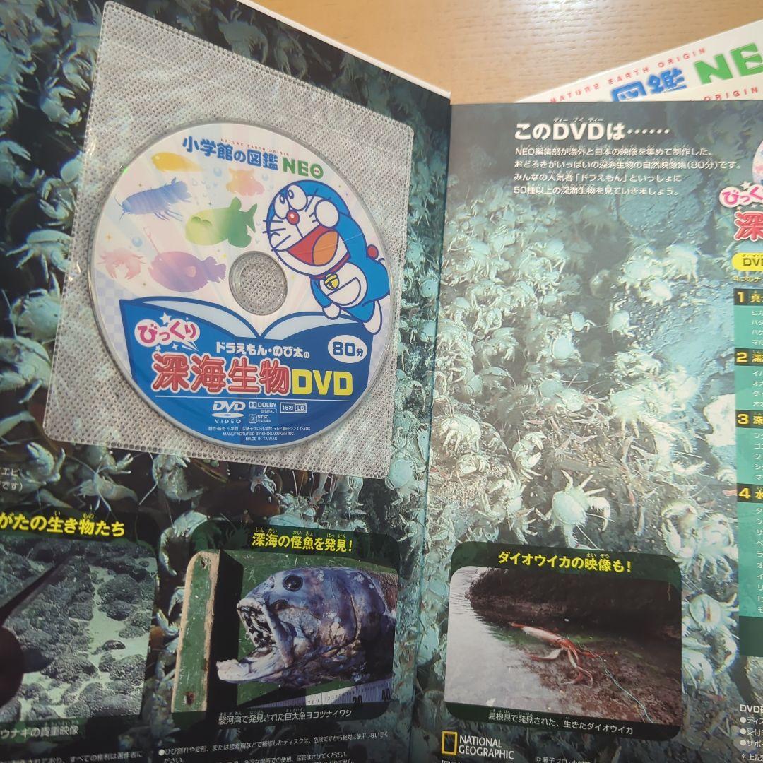 小学館の図鑑NEO 8巻 DVD付き＋講談社MOVE図鑑＋こども大百科