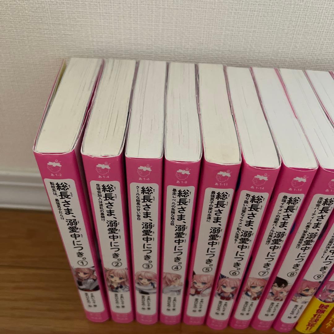 総長さま、溺愛中につき。　17冊セット