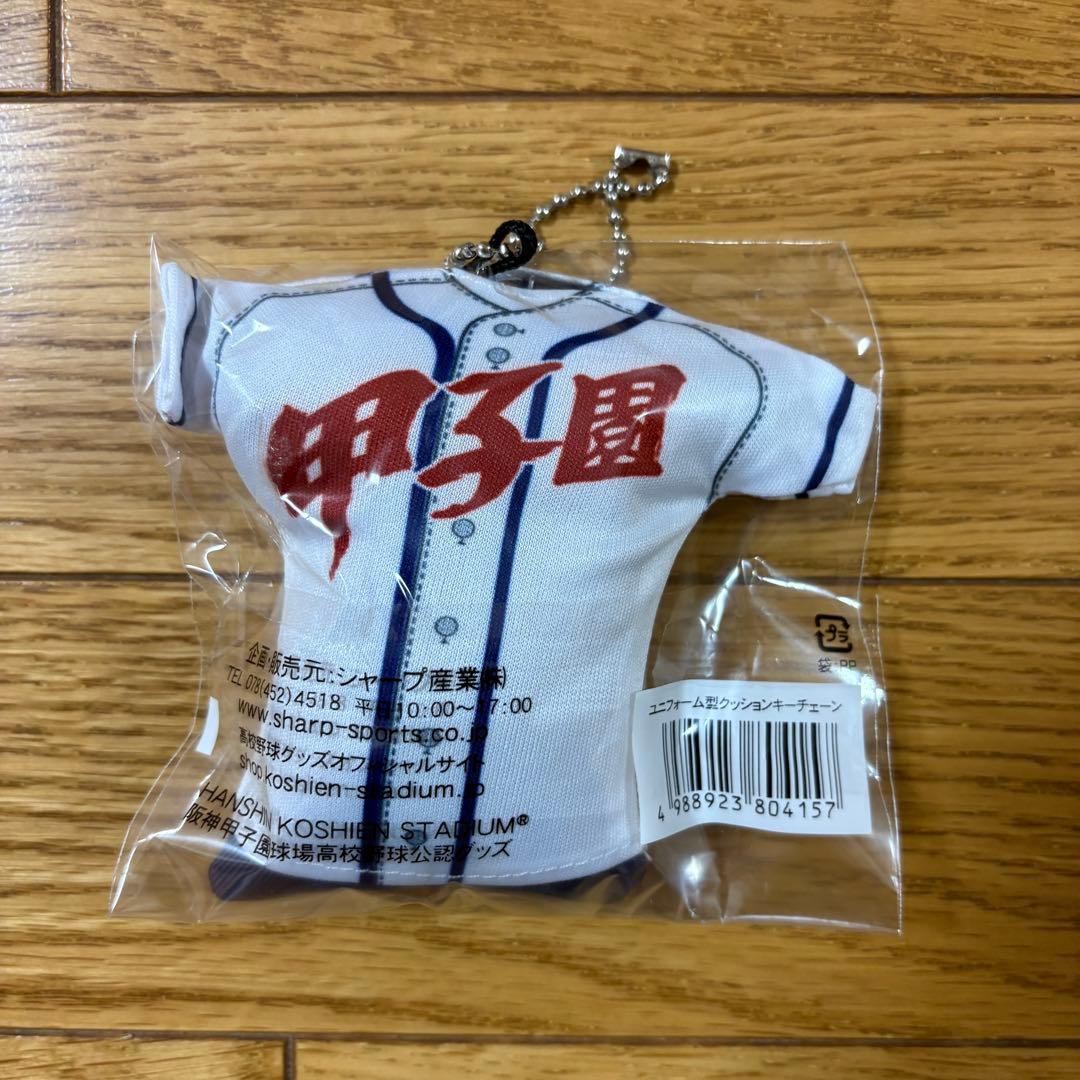 明秀日立　高校野球　甲子園　選抜　グッズ　セット　まとめ売り　レア