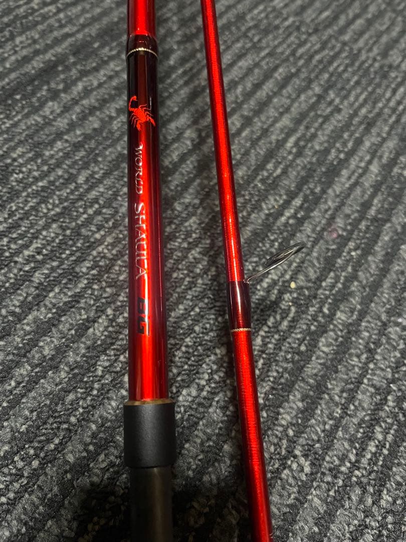 2953r-3 ワールドシャウラBG