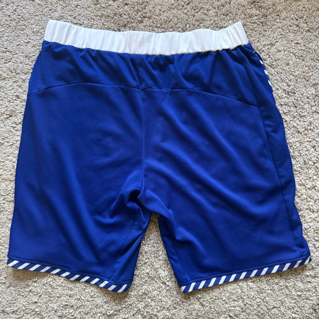 バドミントン　ハーフパンツ　ヨネックス　青