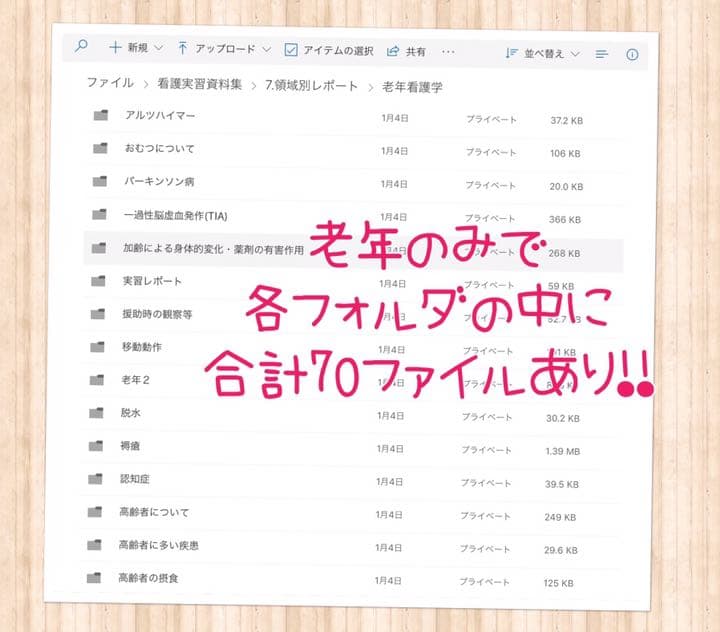 看護実習 看護学生 国家試験 レポート 手順書関連図 看護過程 アセスメント