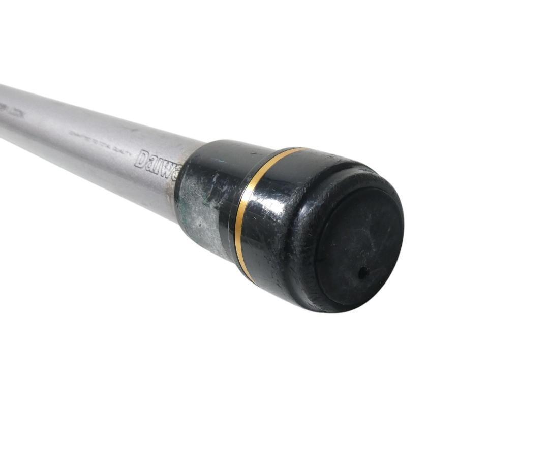 Daiwa HZ IL 潮流 T 50号310 釣り竿 つり 竿