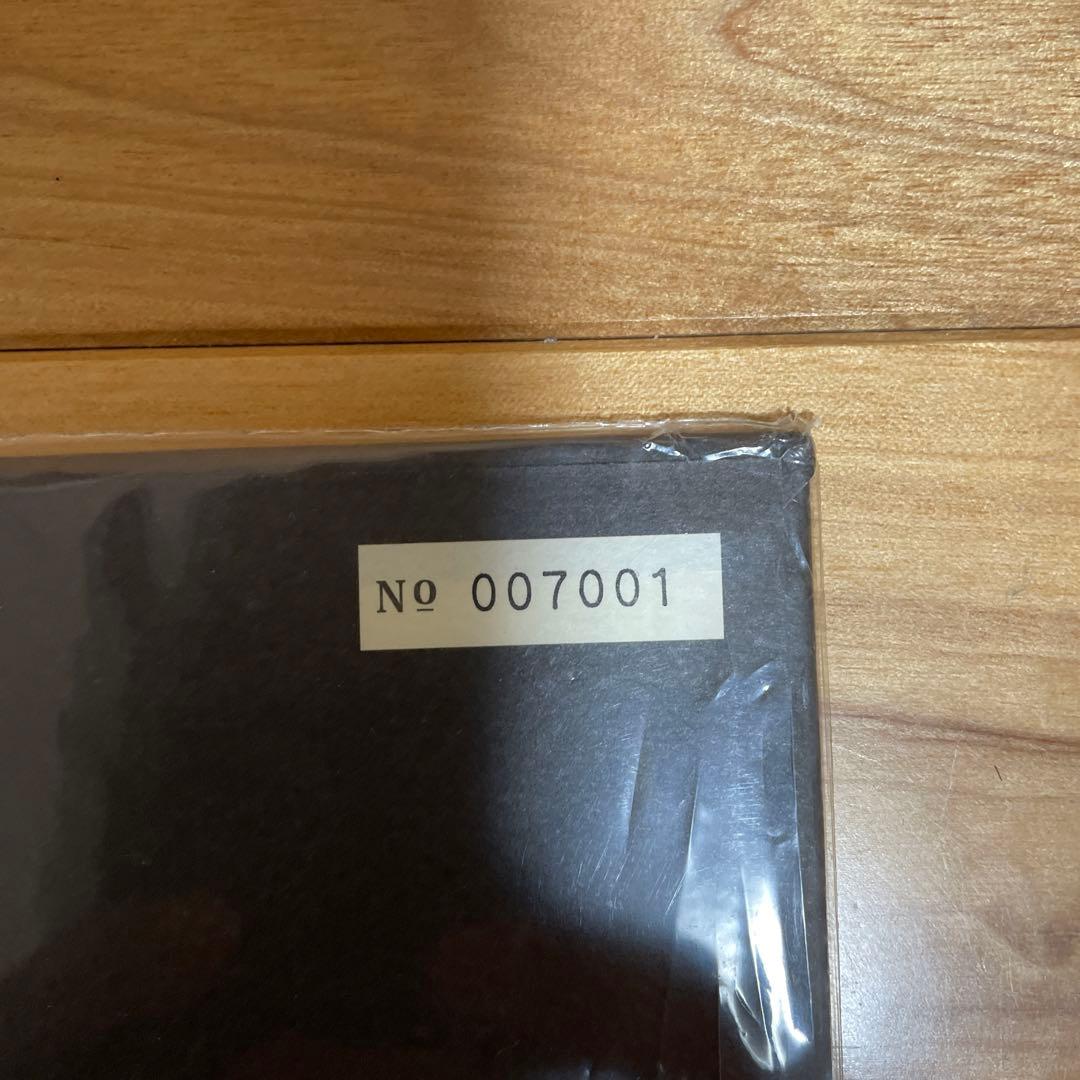 cocco / ブーゲンビリア（レコード）中古品　コッコ　ロックミュージック