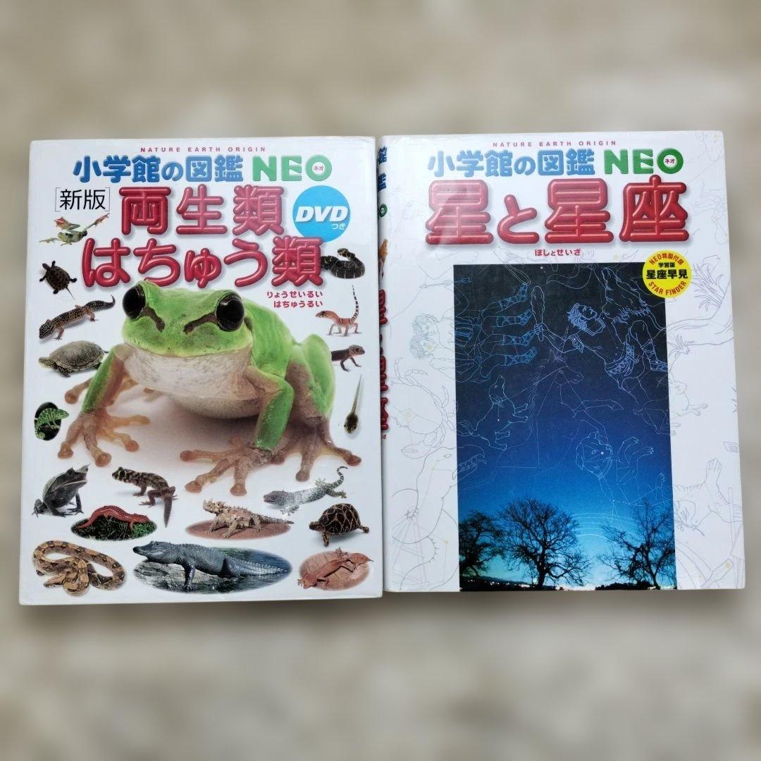 小学館の図鑑NEO☆２０冊セット☆まとめ売り