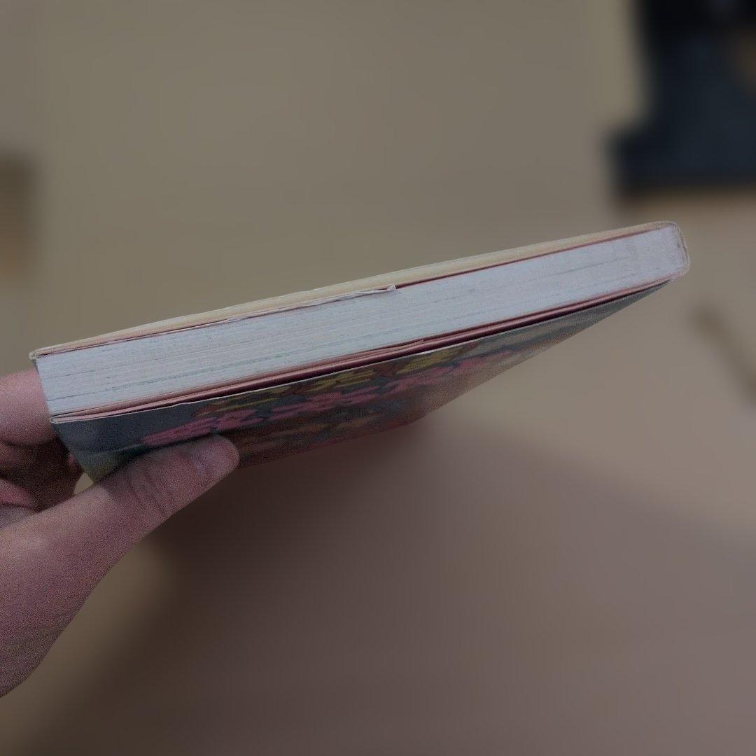 忍たま乱太郎　初版本　プリンセスデラックス　2冊　コミックスニュースつき