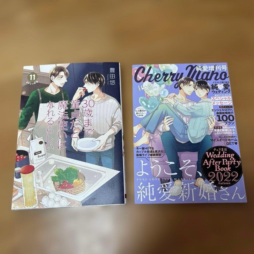 30歳まで童貞だと魔法使いになれるらしい1〜14巻セット