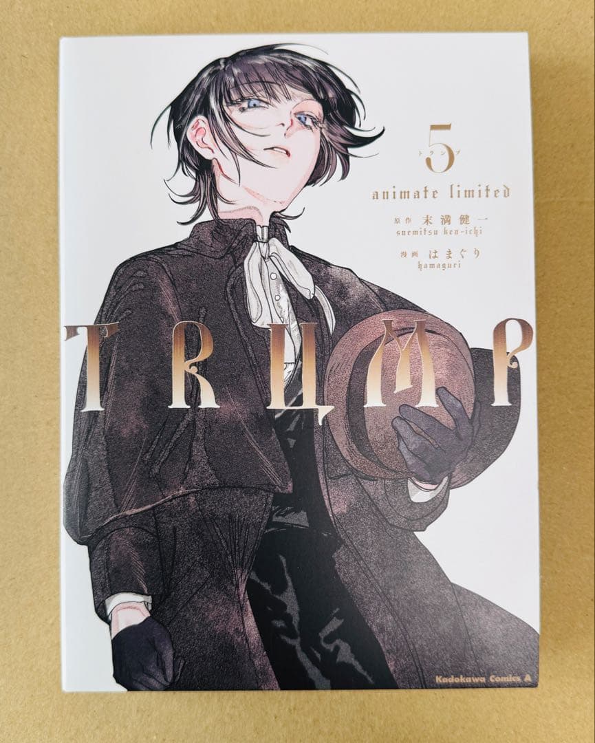 TRUMP アニメイト限定 特装版用収納BOX カバー