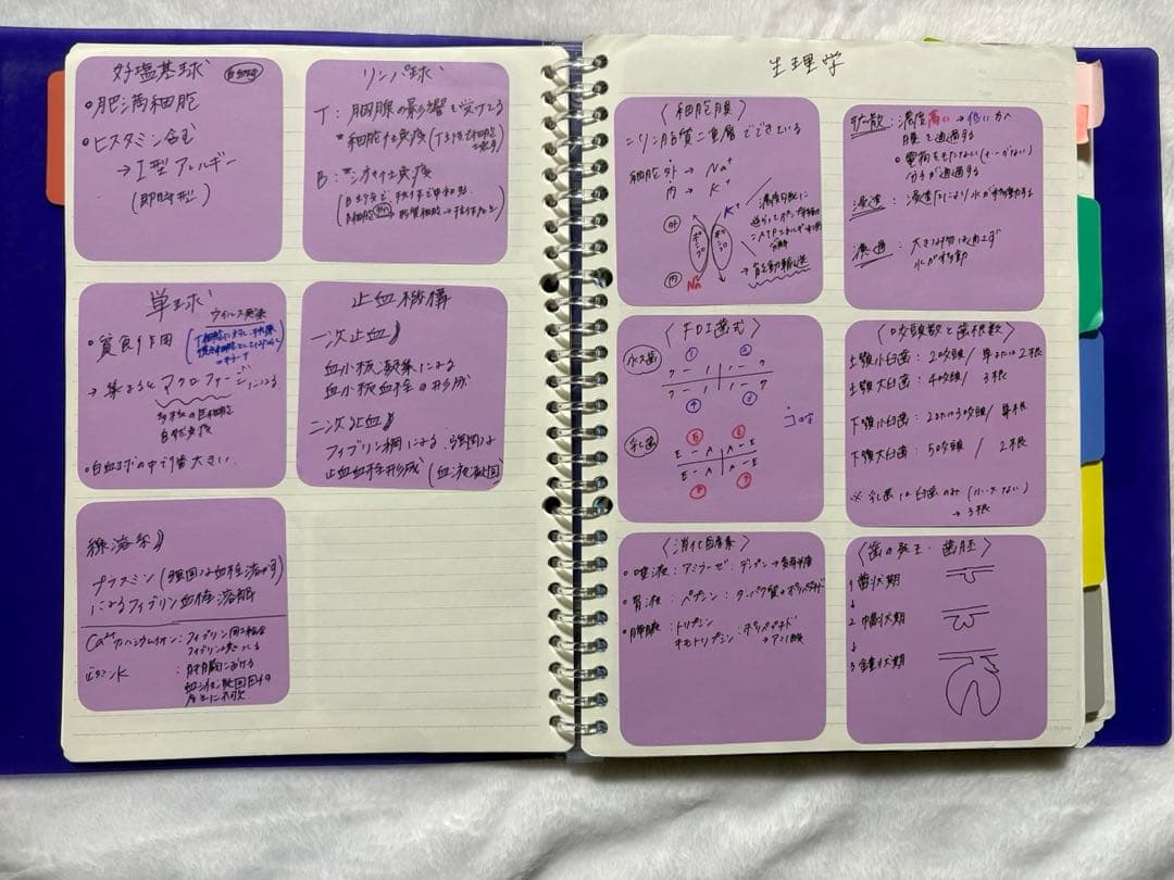 歯科衛生士国家試験まとめノート　全科目　2冊