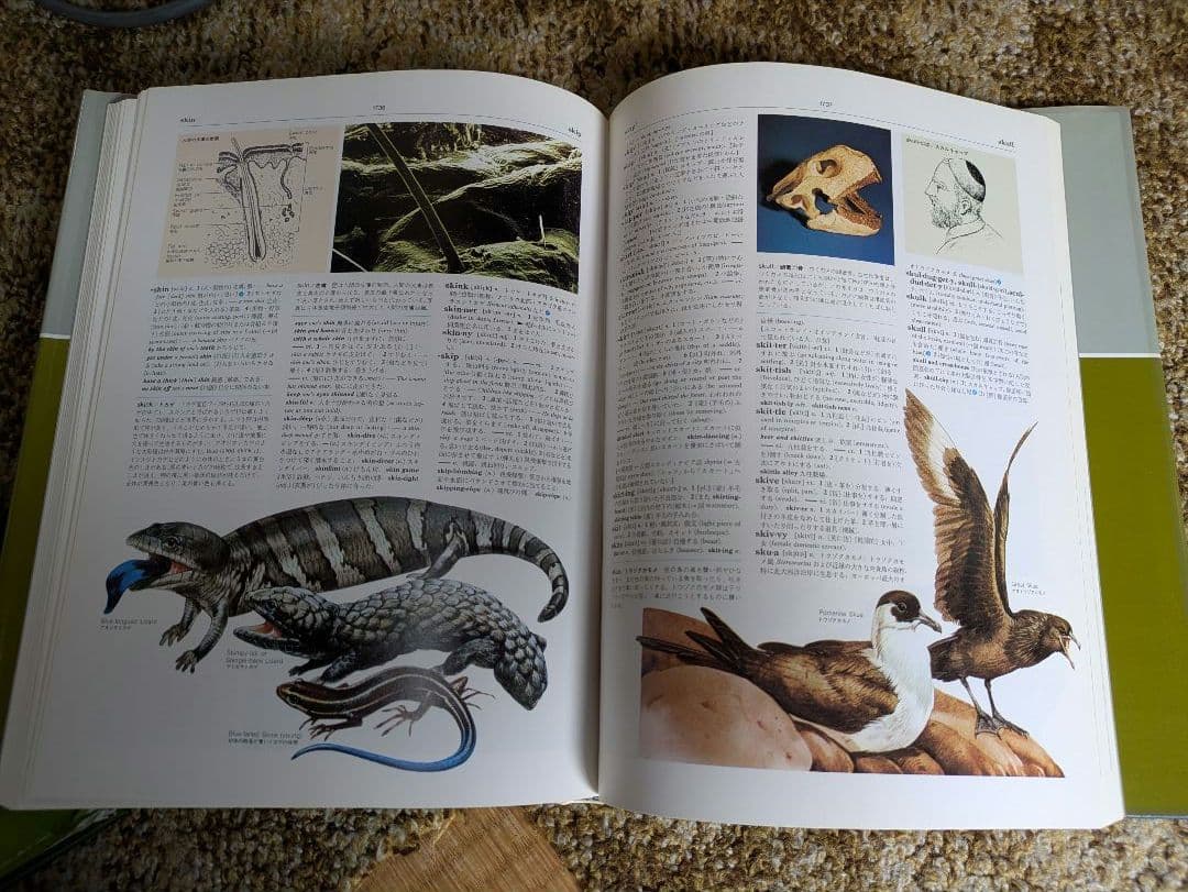 オックスフォード・カラー英和大辞典 全巻セット 全8巻セット 慶應医学部受験