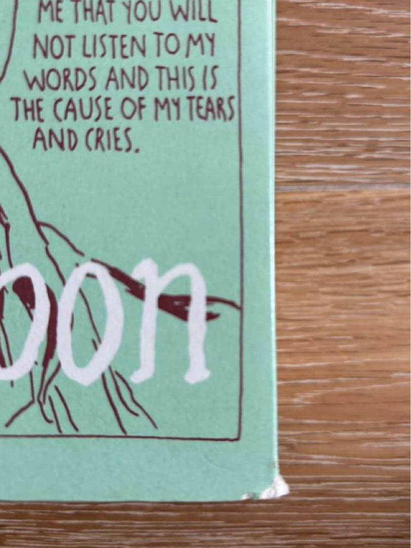 洋書 Raymond Pettibon The Books 1978-1998