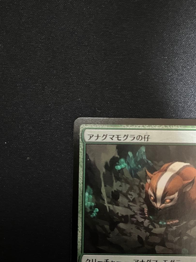 アナグマモグラの仔　日本語