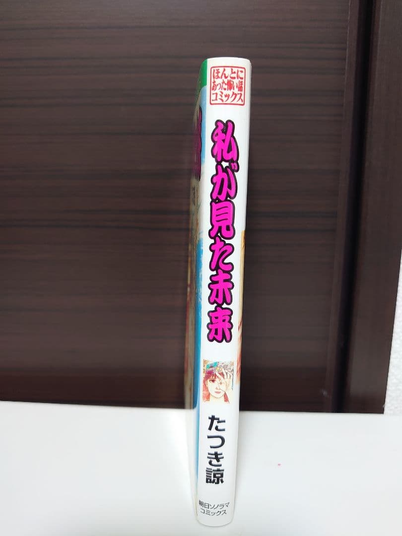 私が見た未来 入手困難　たつき詩