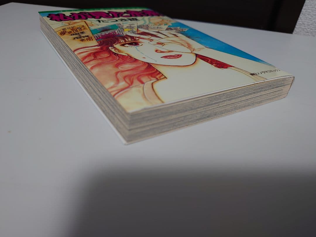 私が見た未来 入手困難　たつき詩