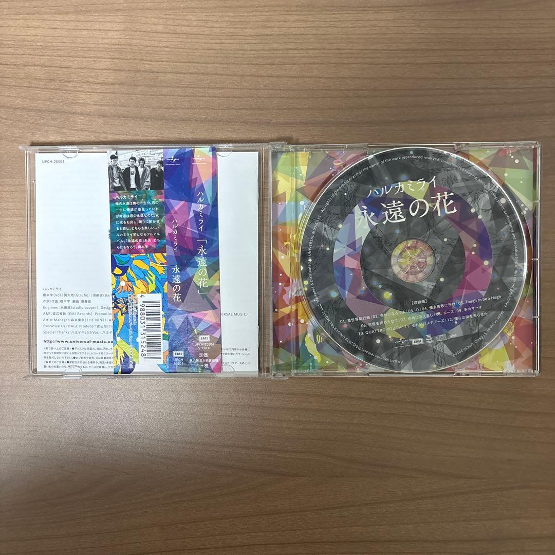 ハルカミライ CD まとめ売り