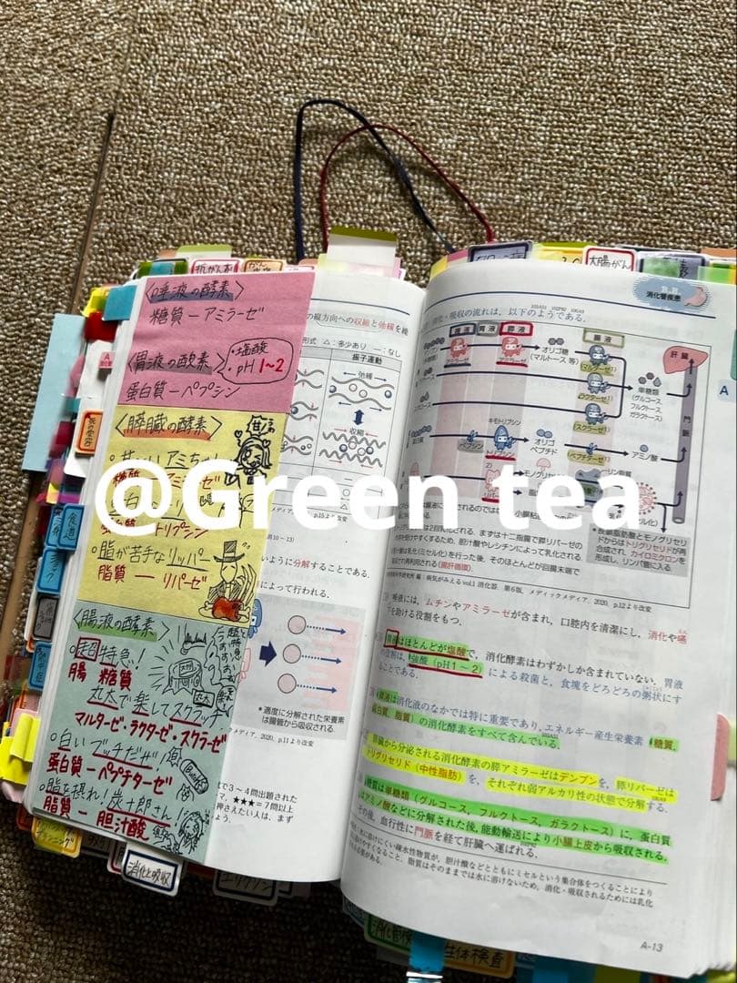 看護師国家試験　レビューブック　書き込みあり　おまけつき