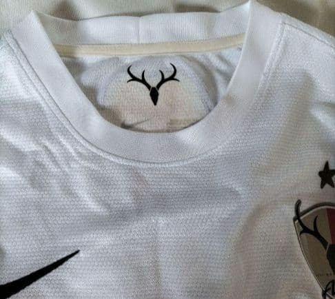 NIKEナイキ鹿島アントラーズ　オーセンティックユニフォーム 大迫勇也