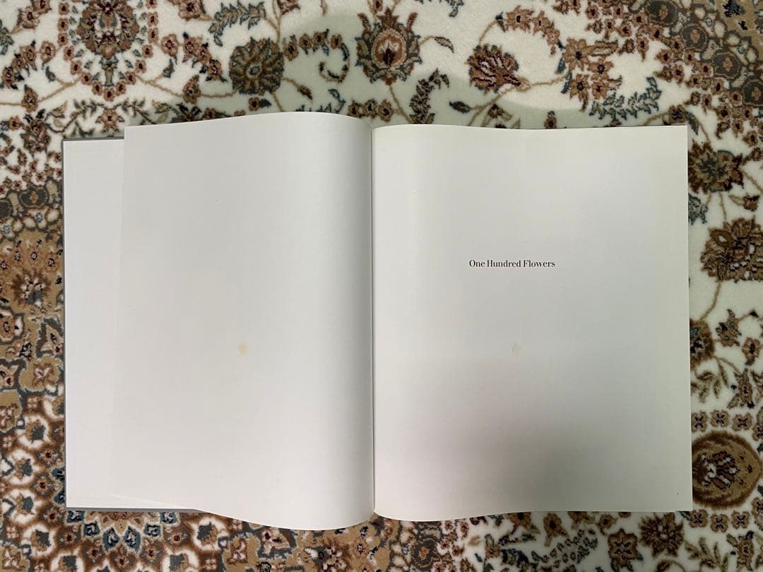 アート・デザイン・音楽 ia O' Keeffe One Hundred Flowers