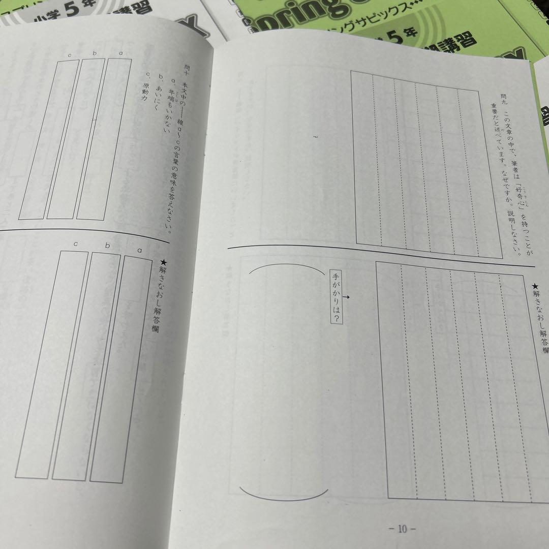 ⑳AA サピックス　5年　国語　算数　春期講習 Spring SapiX