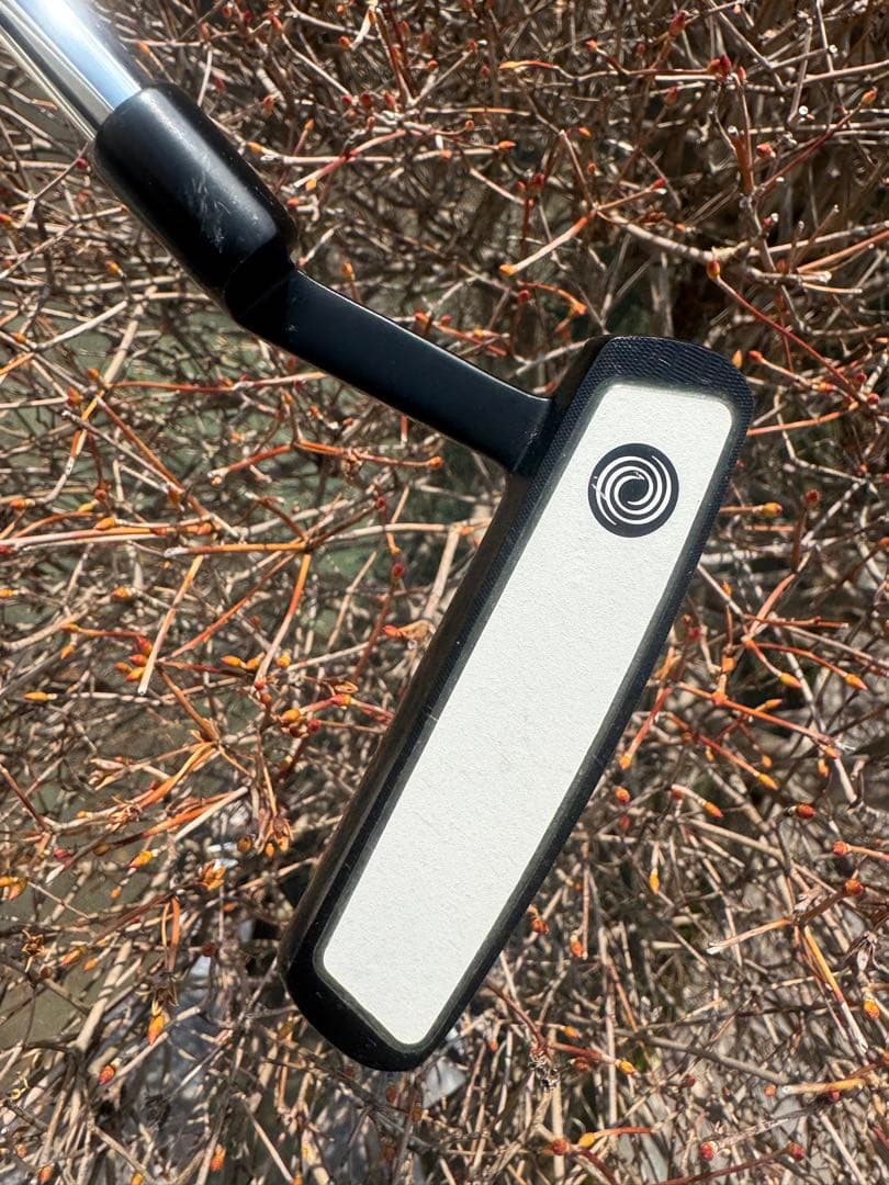 プロ支給品ODYSSEY WHITE ICE ix #5 CH 355g