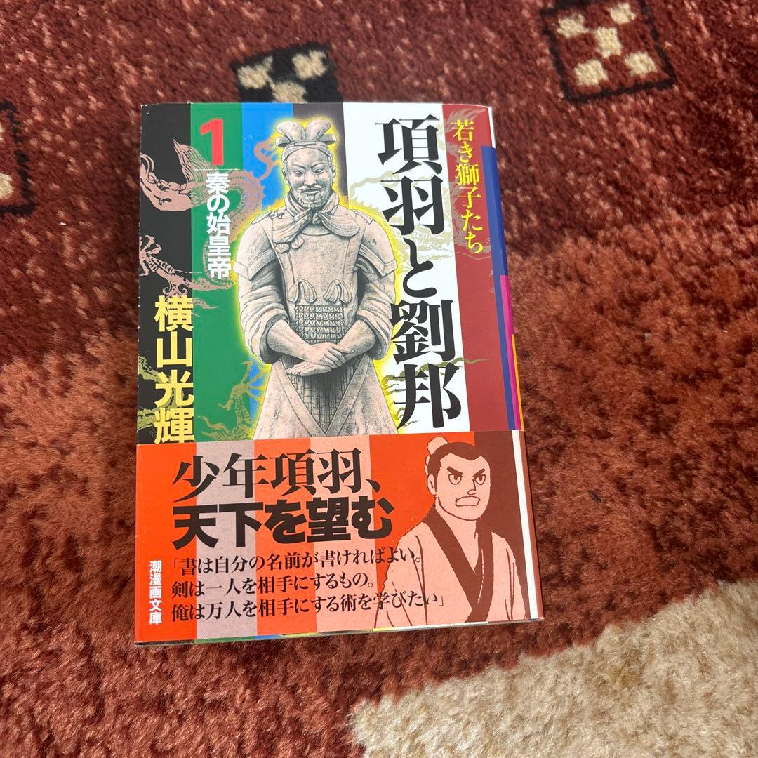 項羽と劉邦 全12巻セット 横山光輝