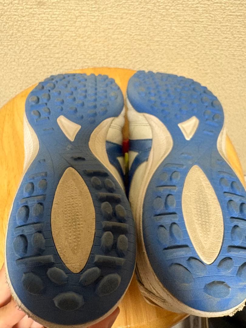 モレリアトレシュー 25.0