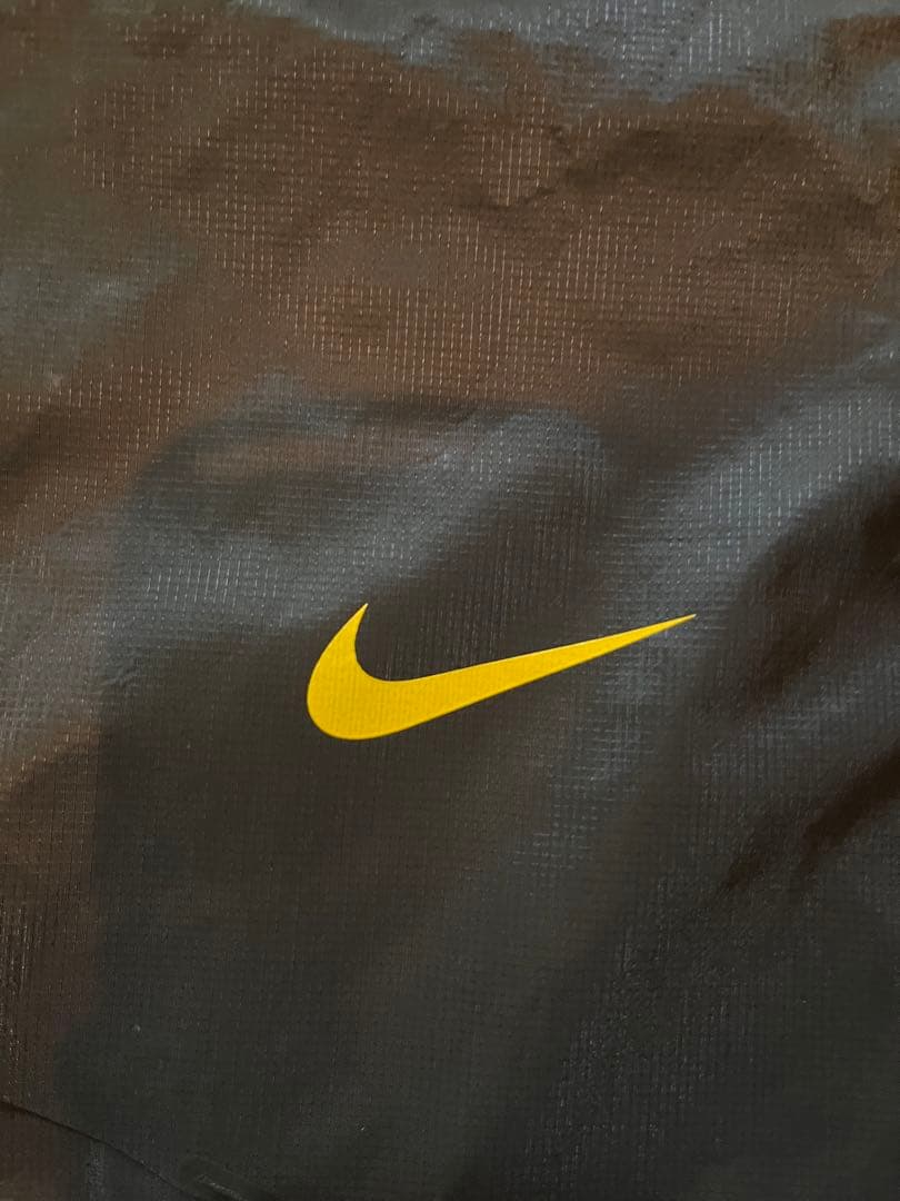 ブラジルウィンブレ