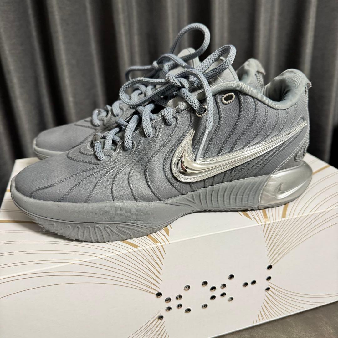 Nike Lebron 21 cool grey レブロン 21 ナイキ
