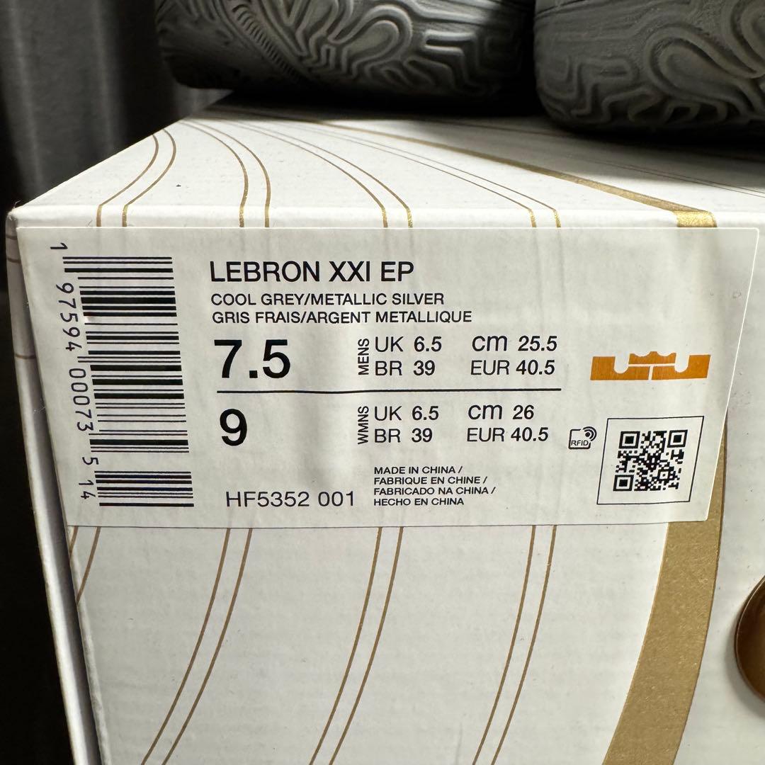 Nike Lebron 21 cool grey レブロン 21 ナイキ