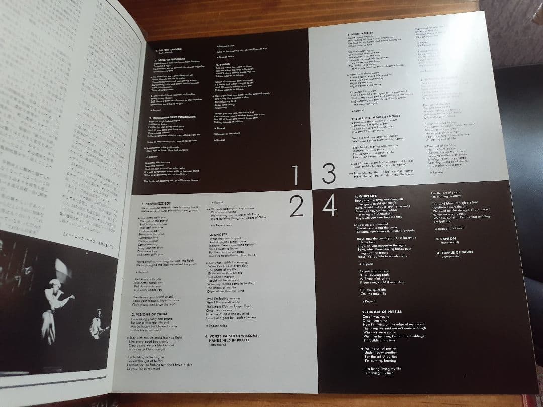 ジャパン　オイルオンキャンバス2LP レコード