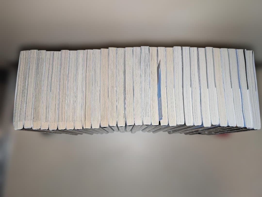 よくわからないけれど異世界に転生していたようです　1-29巻セット