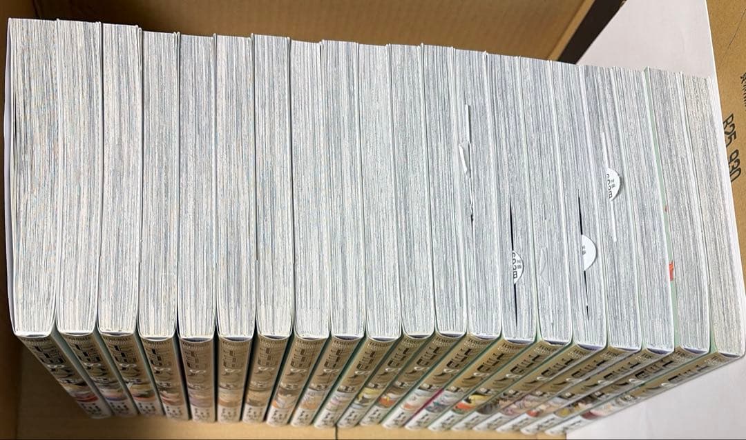 七王国のバラ　全20巻セット 戸川視友作品