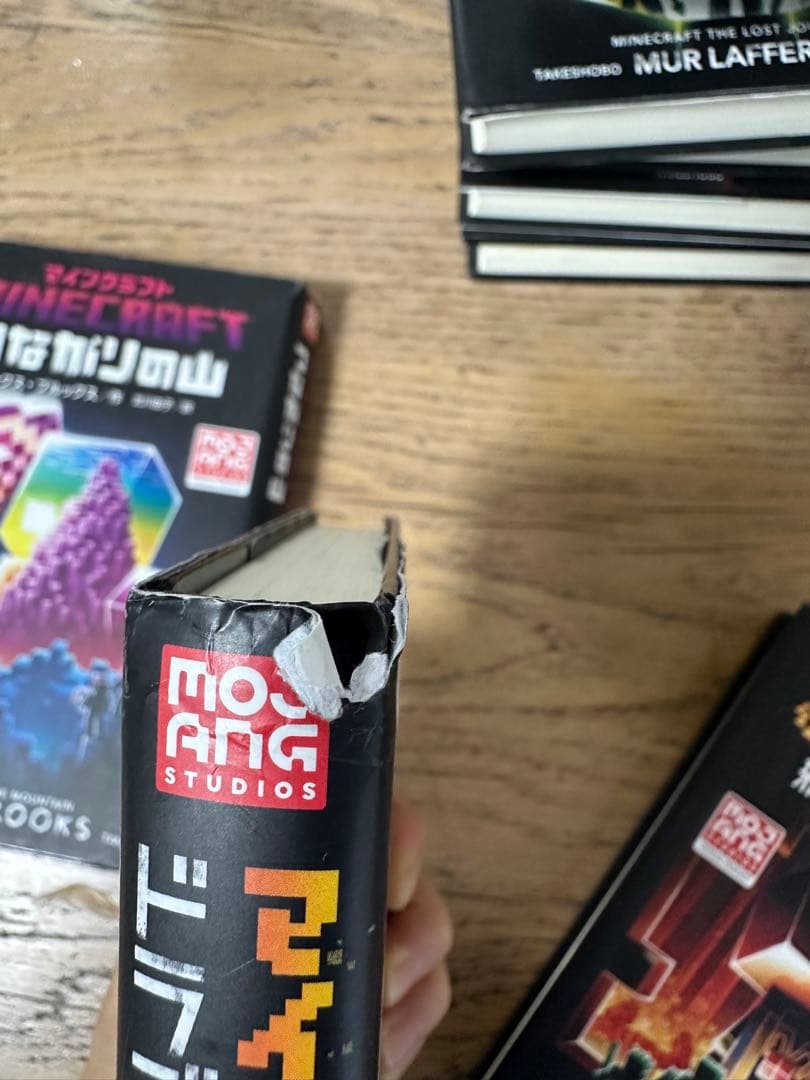 マインクラフト　minecraft 小説　11巻