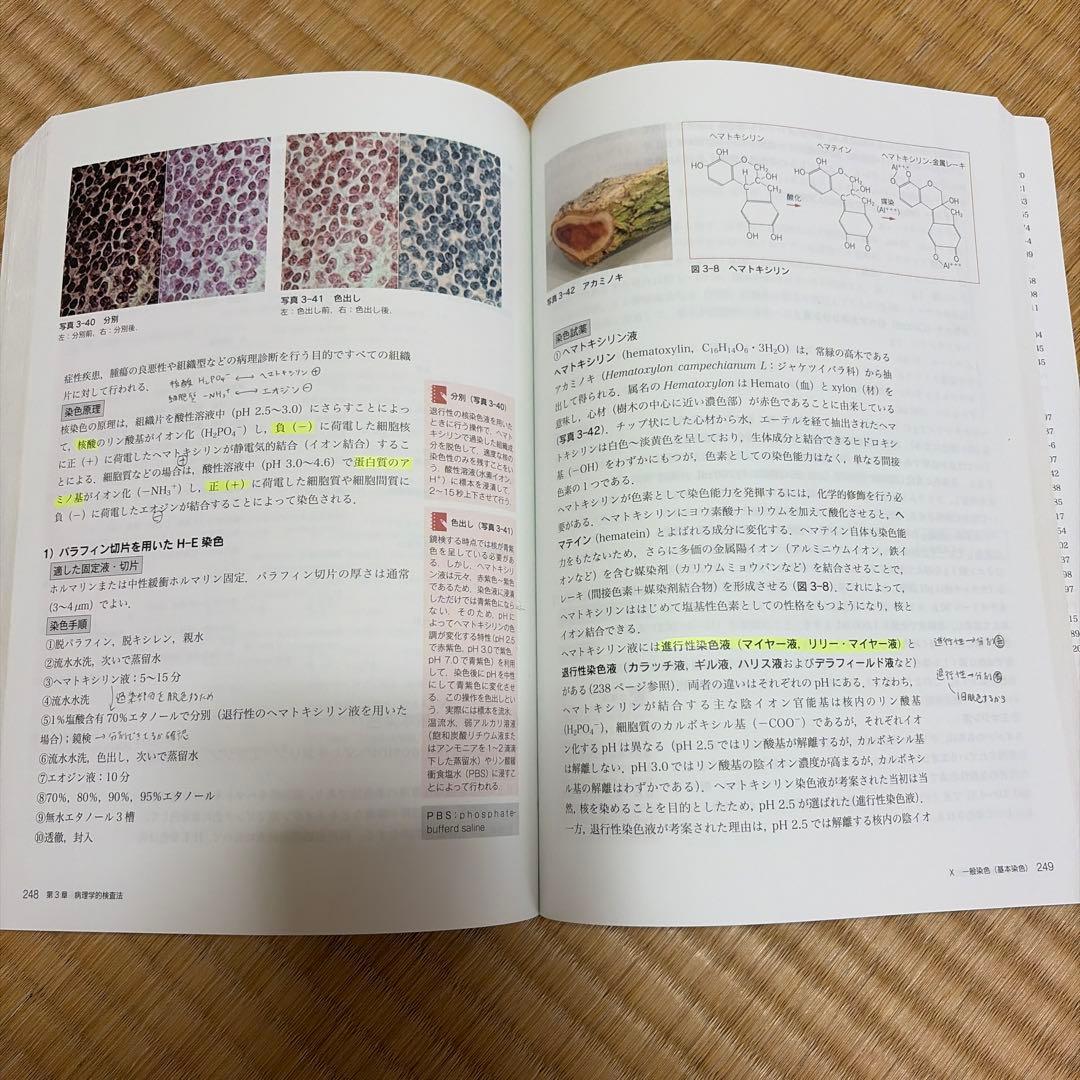 最新臨床検査学講座 教科書19冊セット ※血液学、生理機能、臨床化学なし
