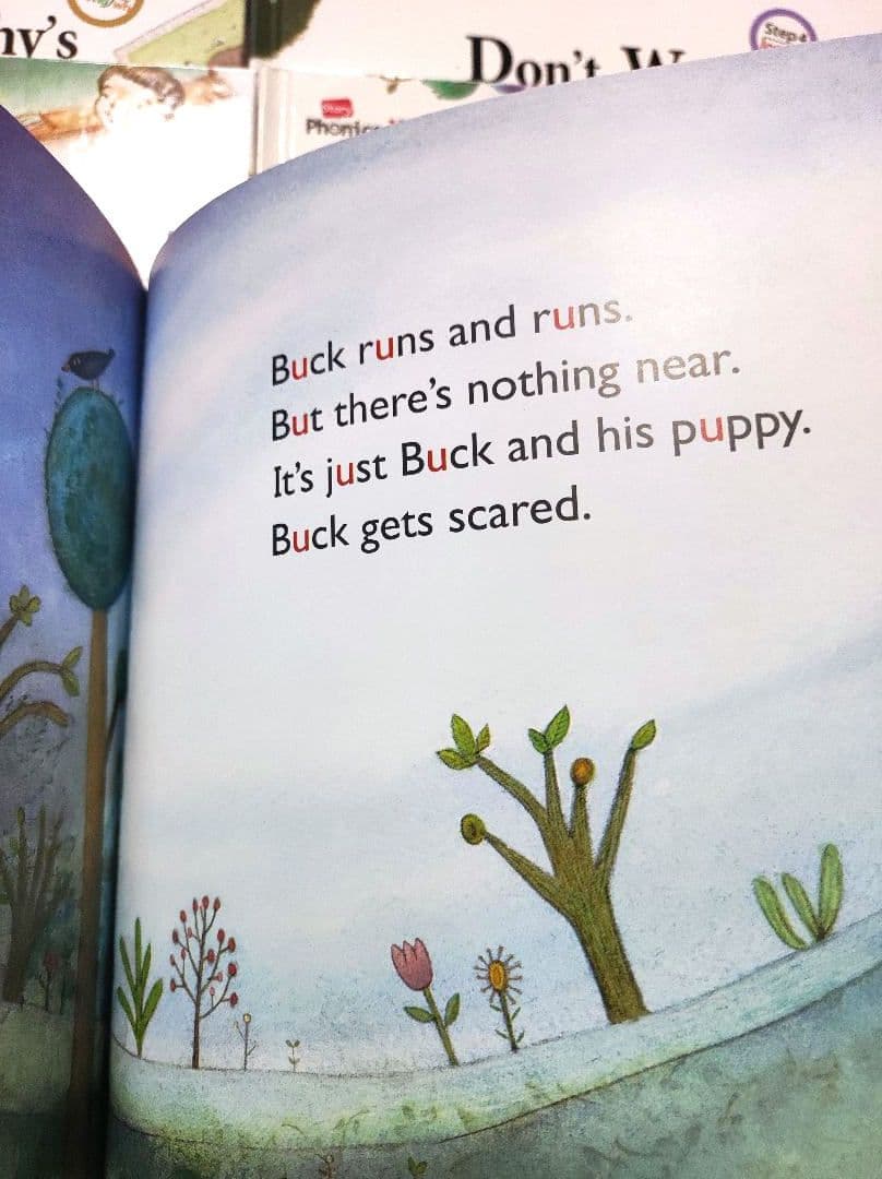 英語絵本　英語の絵本　25冊　CD6枚　ストーリー 　フォニックス