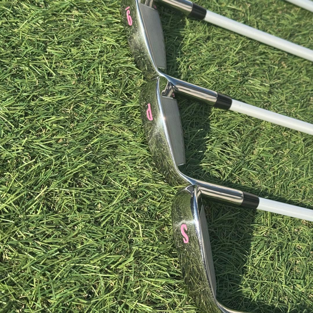 Peter Allis レディース ゴルフクラブ10本セット L