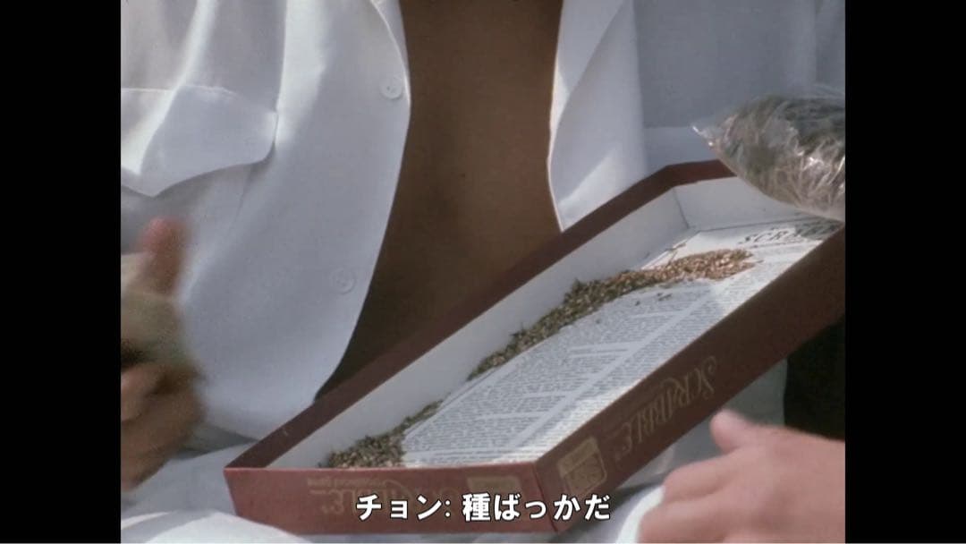 Cheech & Chong Last Movie チーチ& チョン 大麻