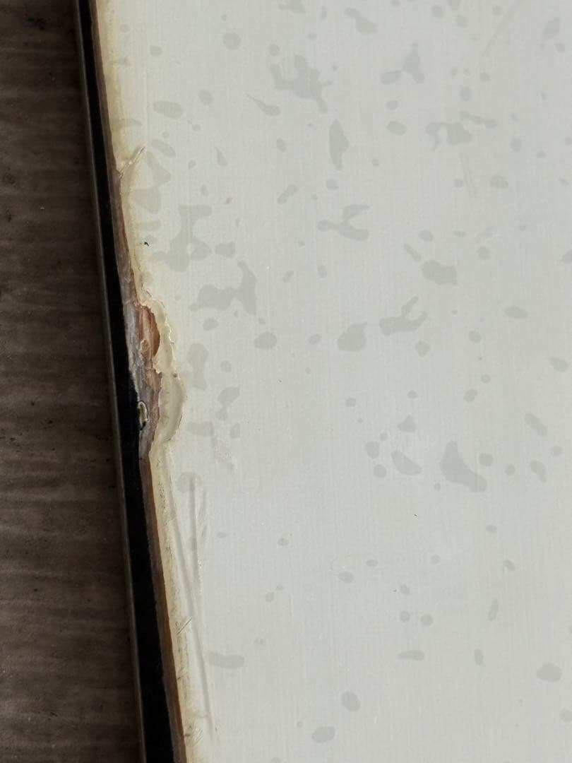 サロモン　Assassin 156センチ　19-20モデル