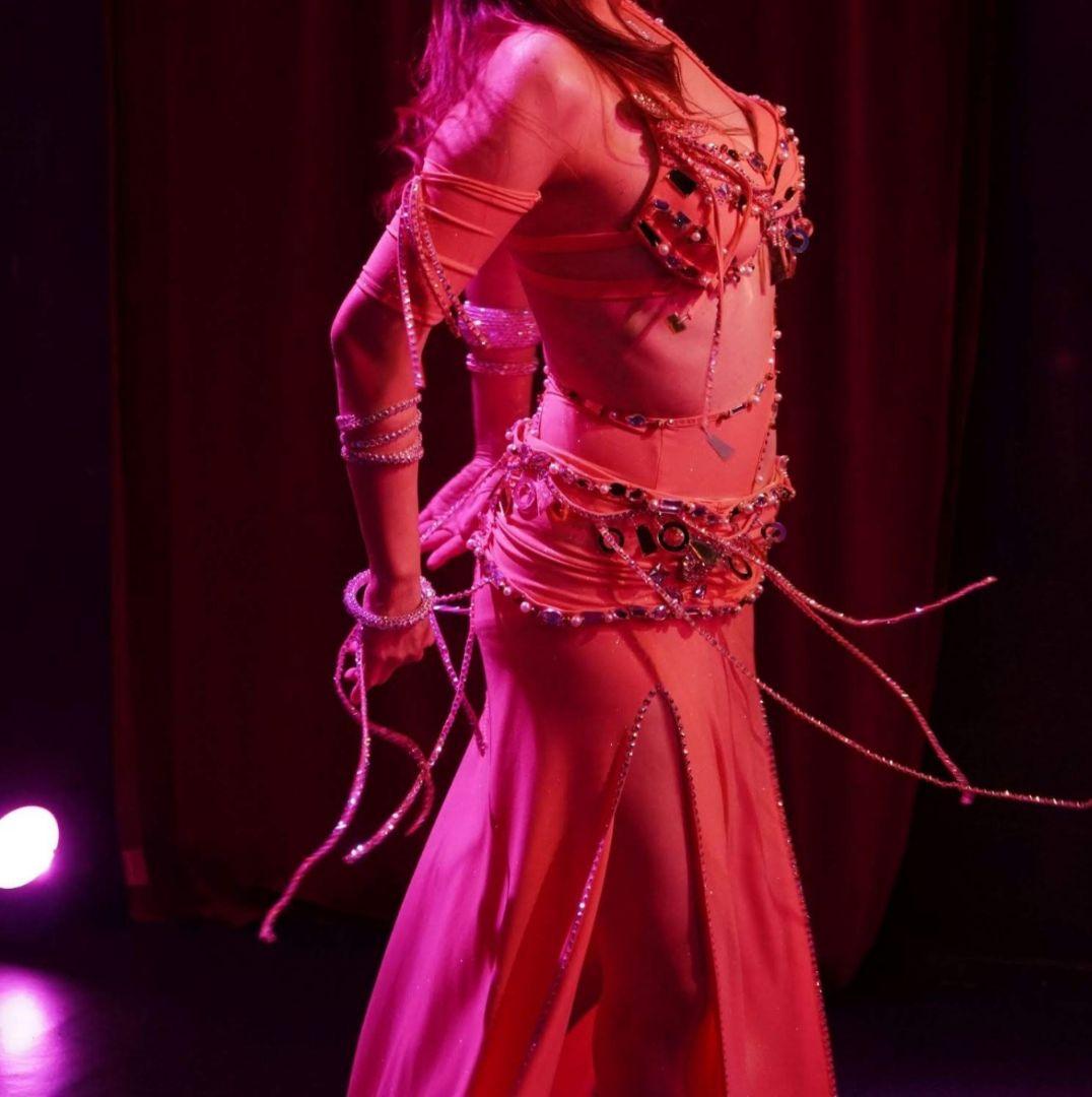 さぁやさま専用 ベリーダンス衣装　バラディドレス