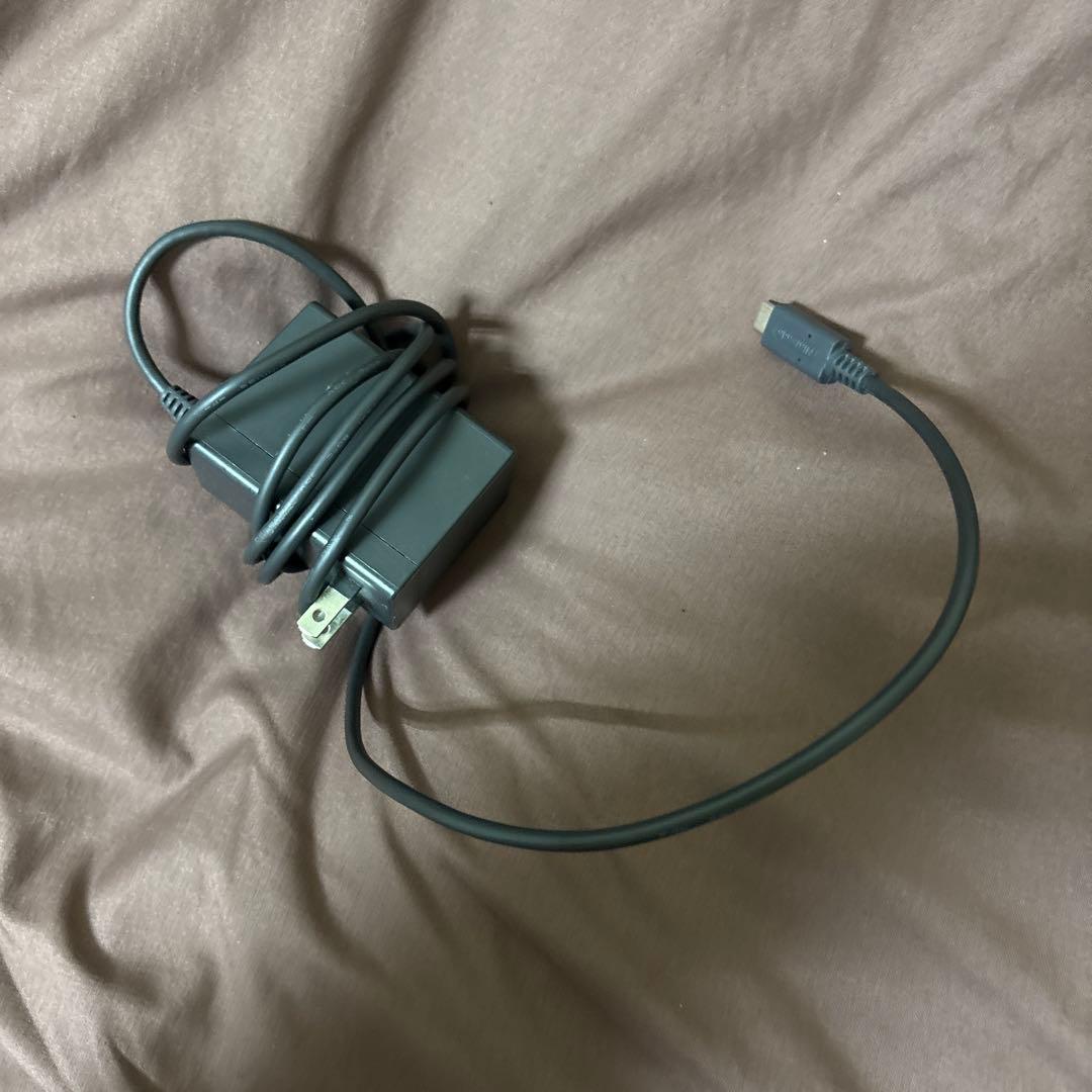 Nintendo Switch 本体 グリーン/ピンク 充電器付き