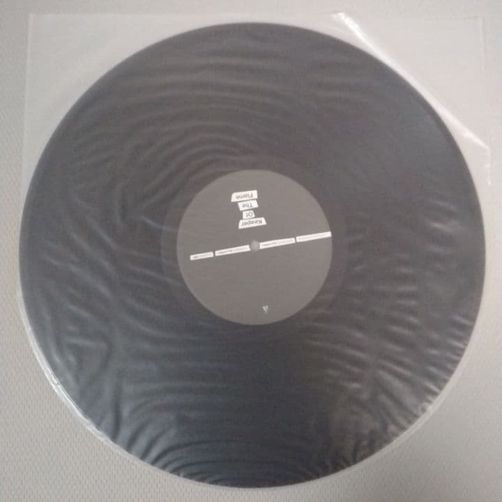 【レコード】the HIATUS Keeper Of The Flame LP