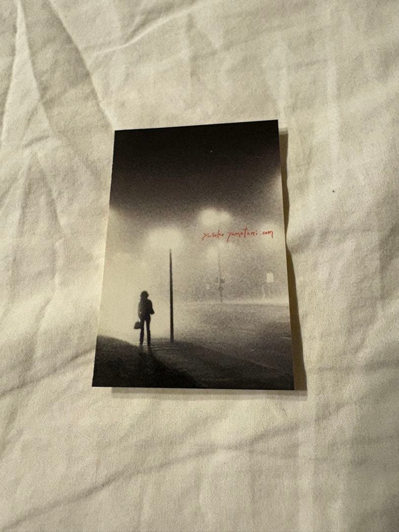 山谷祐介 Tsugi no yoru e 初期作 wasted youth