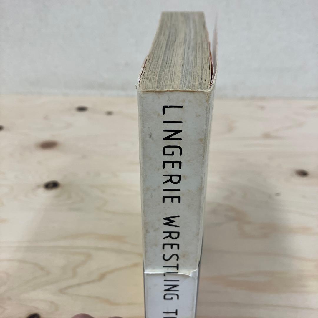 五木田智央　ランジェリー・レスリング