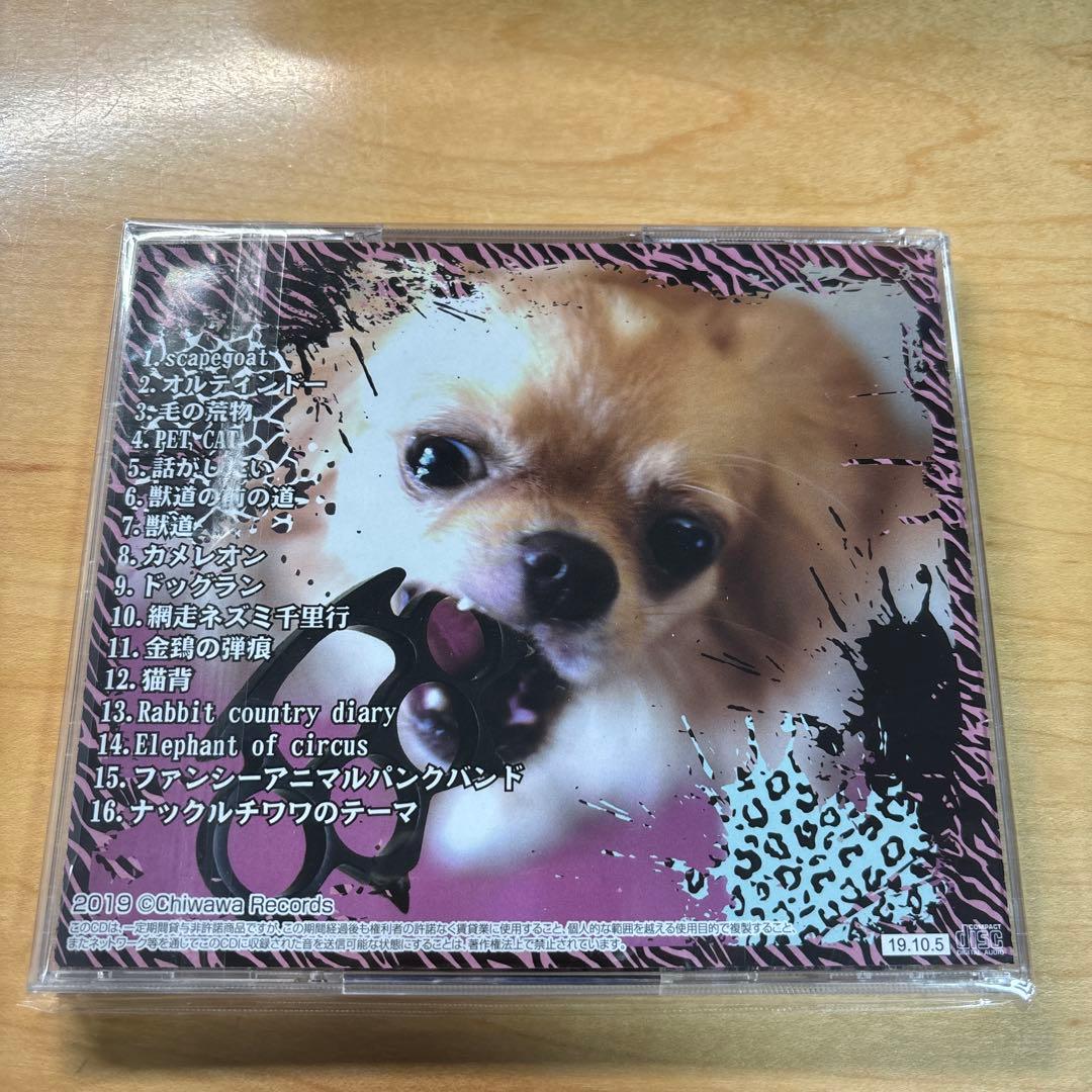 お手 ナックルチワワ