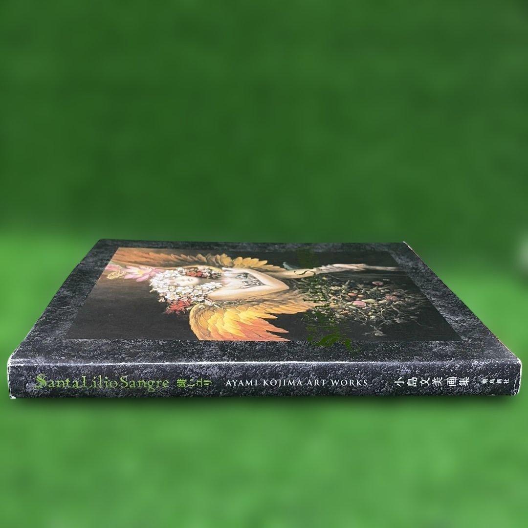 【希少】小島文美画集　緋いユリ　Santa Lilio Sangre