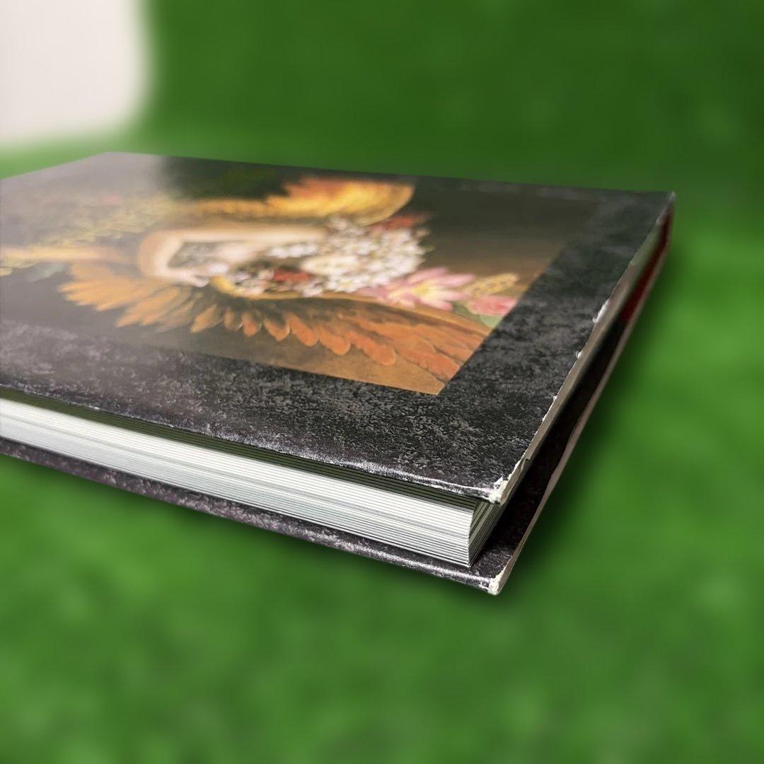 【希少】小島文美画集　緋いユリ　Santa Lilio Sangre